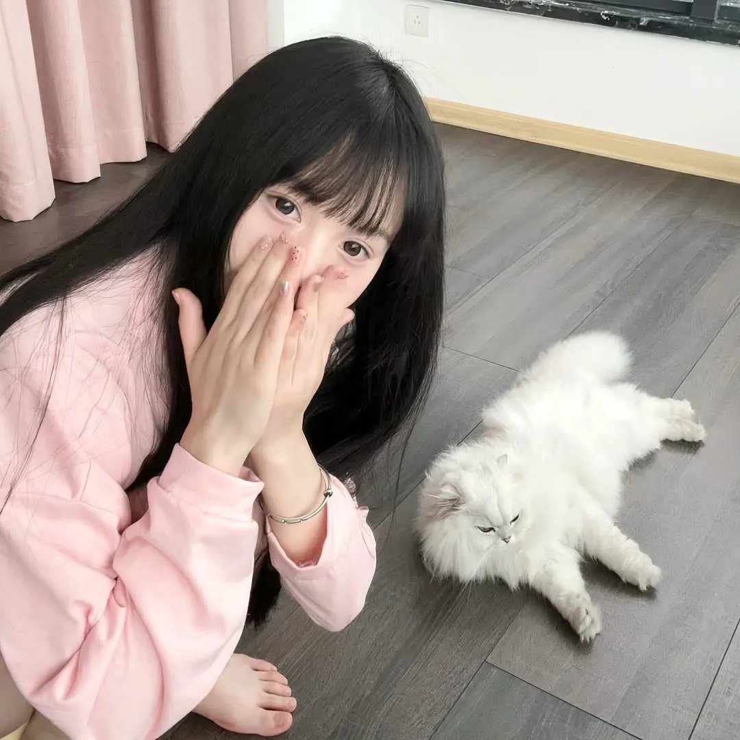 碧窗艳影